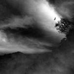 in time by arayo