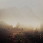 Into the Dream by arayo