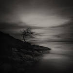 wind control by arayo