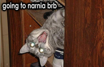 narnia kitty