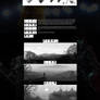Johnson Ting Brush Pack V1.1 - Notes