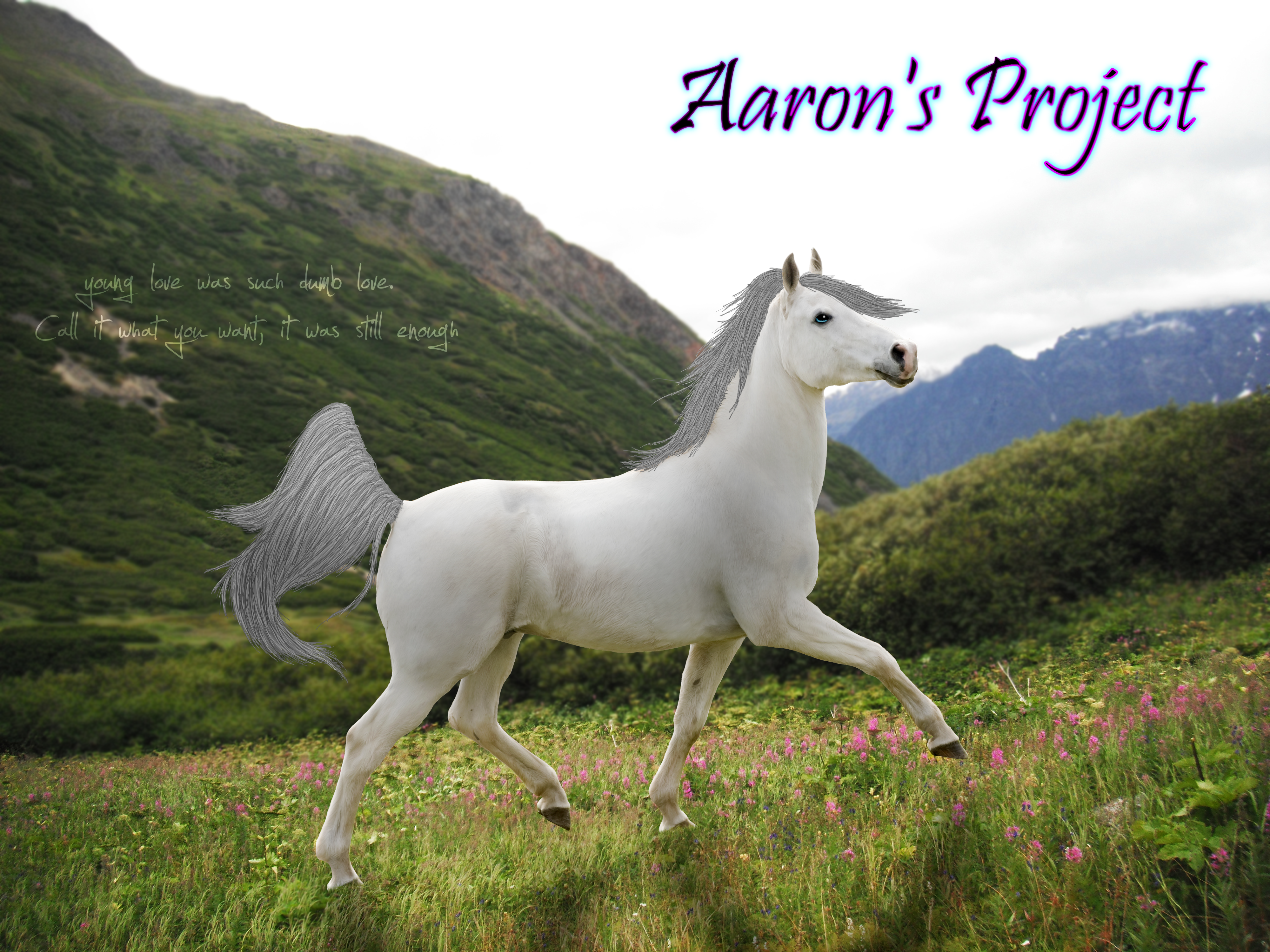 Horse Manip - Aaron's Project (WeStartAWar)