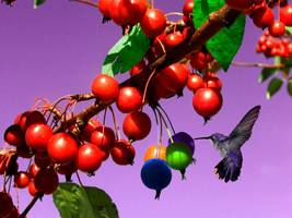 berries