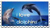 Dolphins Stamp