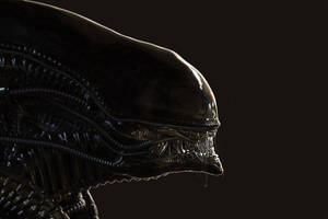 H. R. Giger alien