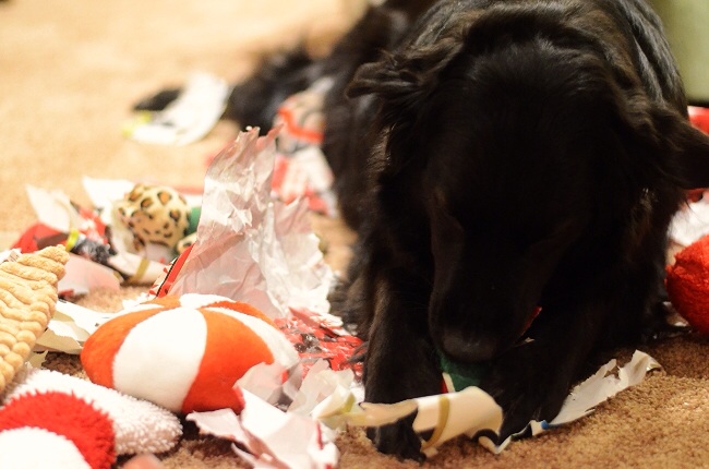 Unwrapping the presents