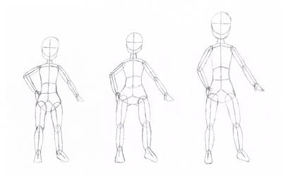 Anatomy Body Type Differences