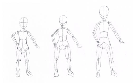 Anatomy Body Type Differences