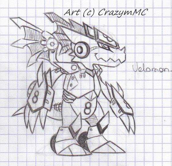 Sketch ++ Velomon ++