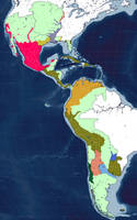 Ventis Ferrum: Hispanic America in 1823