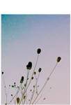 .une histoire d'amour by emilly