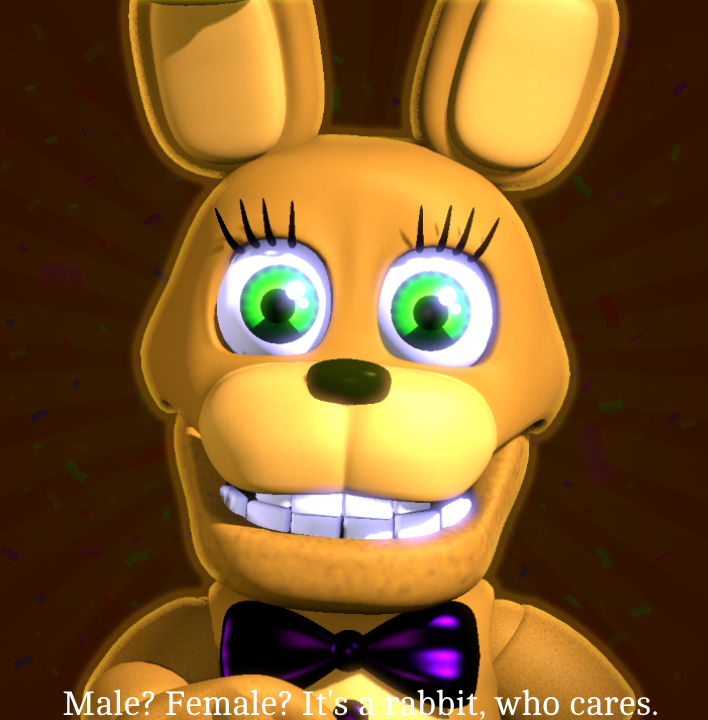 male? female? it's a rabbit, who cares. by ACRAZYRABBIT on DeviantArt