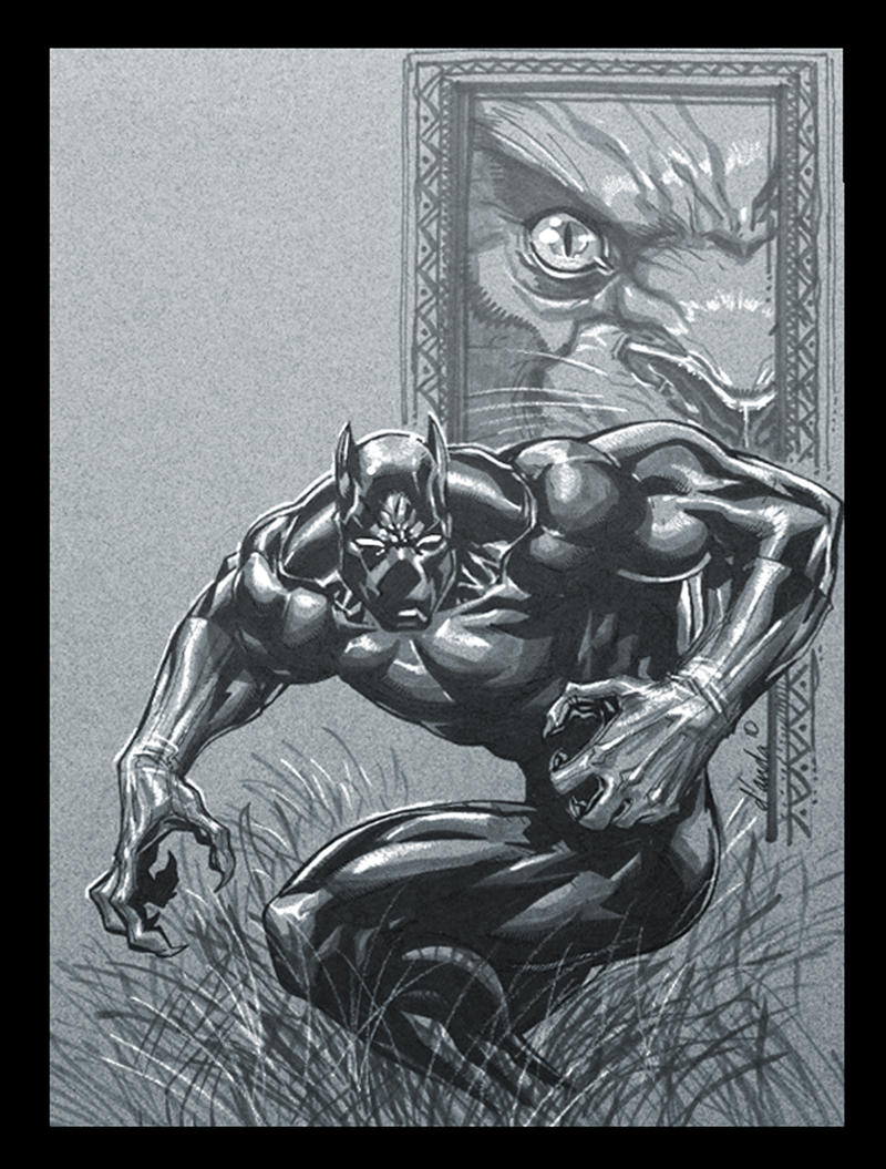 Black Panther by Chuckdee on DeviantArt