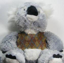 E4U Argyle Koala Vest