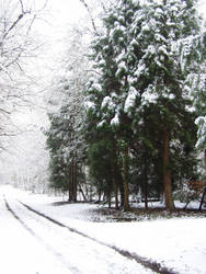 Snow Path 3