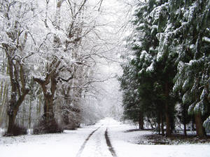 Snow Path 1