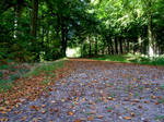 The path to Autumn...