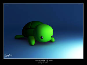 Turtle :3