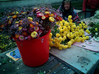 Flowers from Grandma's Garden