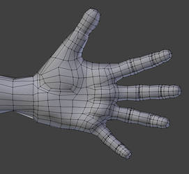 Low Poly Male Palm Wireframe - Blender3d