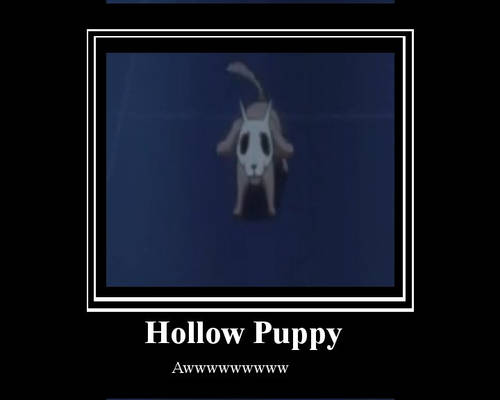 Hollow Puppy Bleach 267