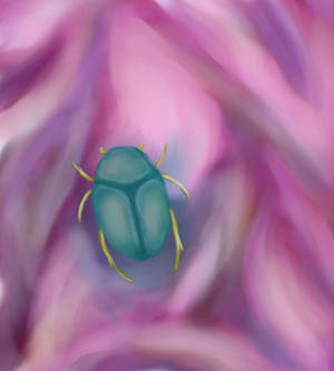 Scarab On Pink Satin