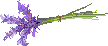 Lavender Pixel