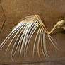 bird 83: zombie bird