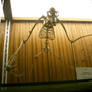 bat bones 02