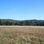 landscape 12