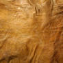 texture: leathery skin 1