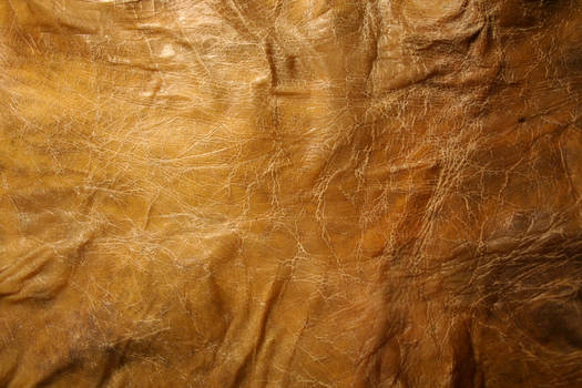 texture: leathery skin 1