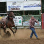 rodeo 02: calf roping