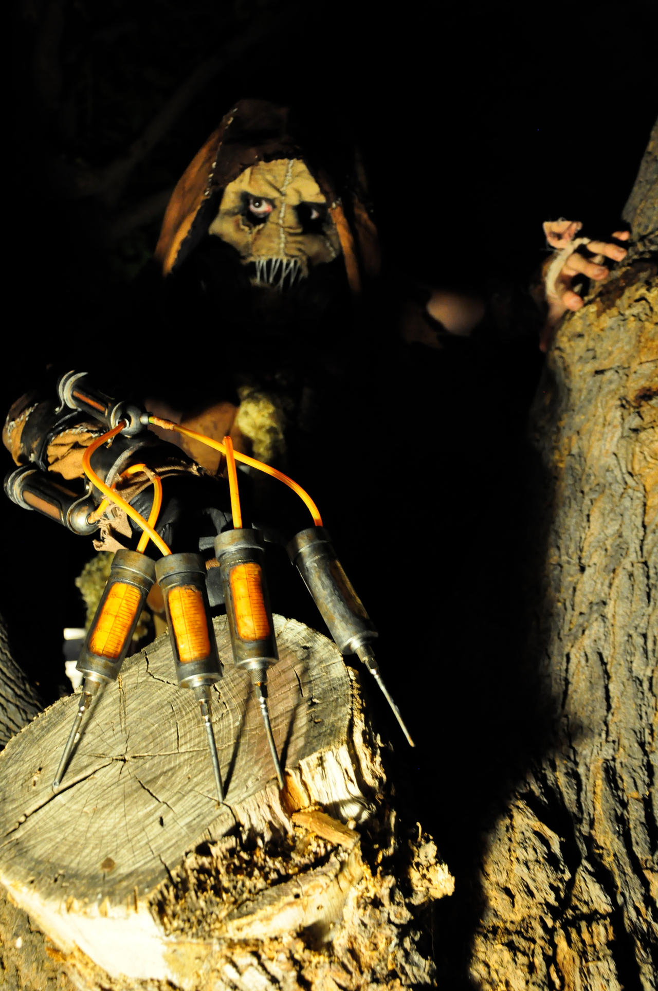 Scarecrow Arkham Asylum 2