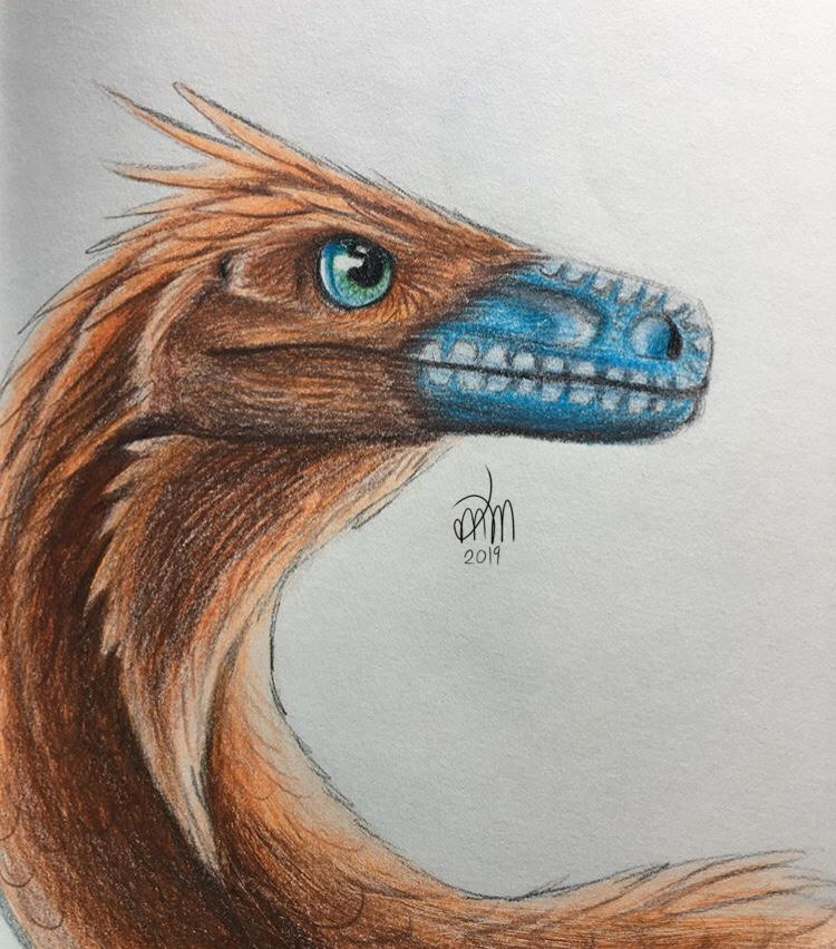 Raptor Colored Pencil by MystChic on DeviantArt