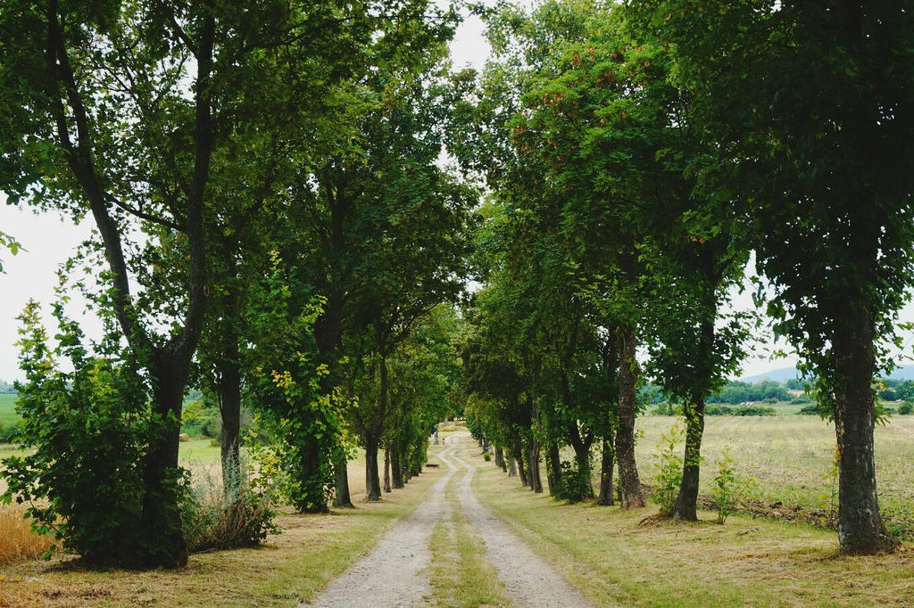 The unknown path by wadcawooslt on DeviantArt