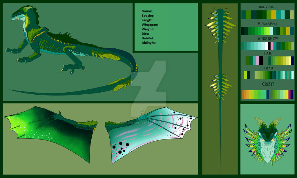 adoptable__western_style_dragon_reference_sheet_by_fraggingforflapjacks_ddeemjb-fullview.jpg