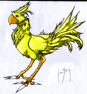 Chocobo