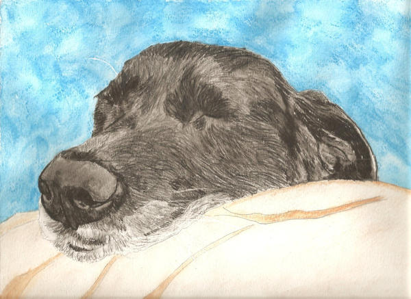 Black Lab Deviantart Original Black Lab Watercolor by pigatopia on DeviantArt