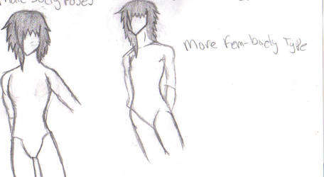 male body proportions 1