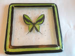 Coaster: Green Butterfly #1 out of 6 by Dimolicious