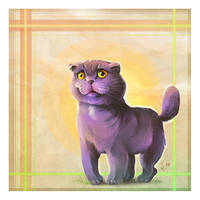 Scottish Fold