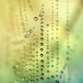 .: Pastel droplets :.