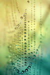 .: Pastel droplets :.