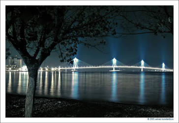 Rio Bridge By Night