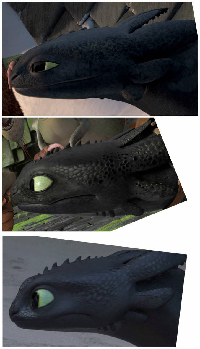 Toothless's head through the years by Roma2poi on DeviantArt