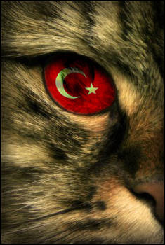 Cat eye Turkey