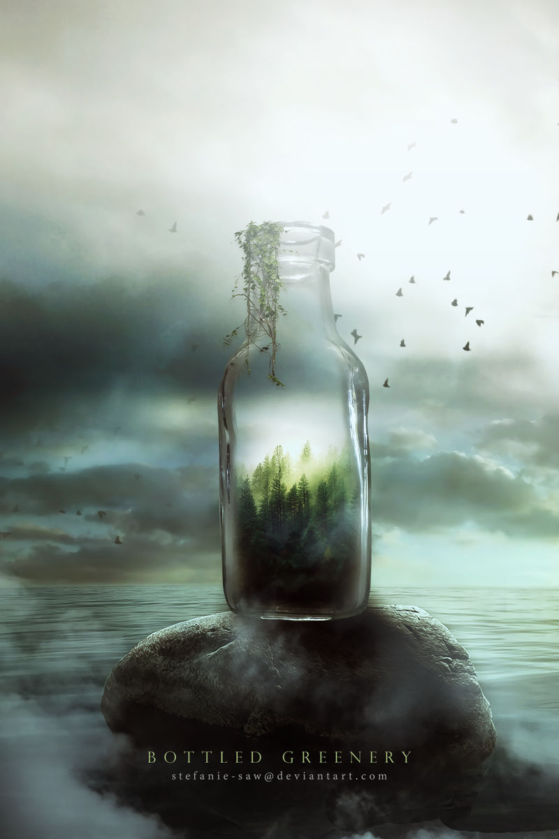 Bottled Greenery