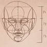 How to Draw the head