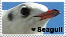 Seagull Stamp